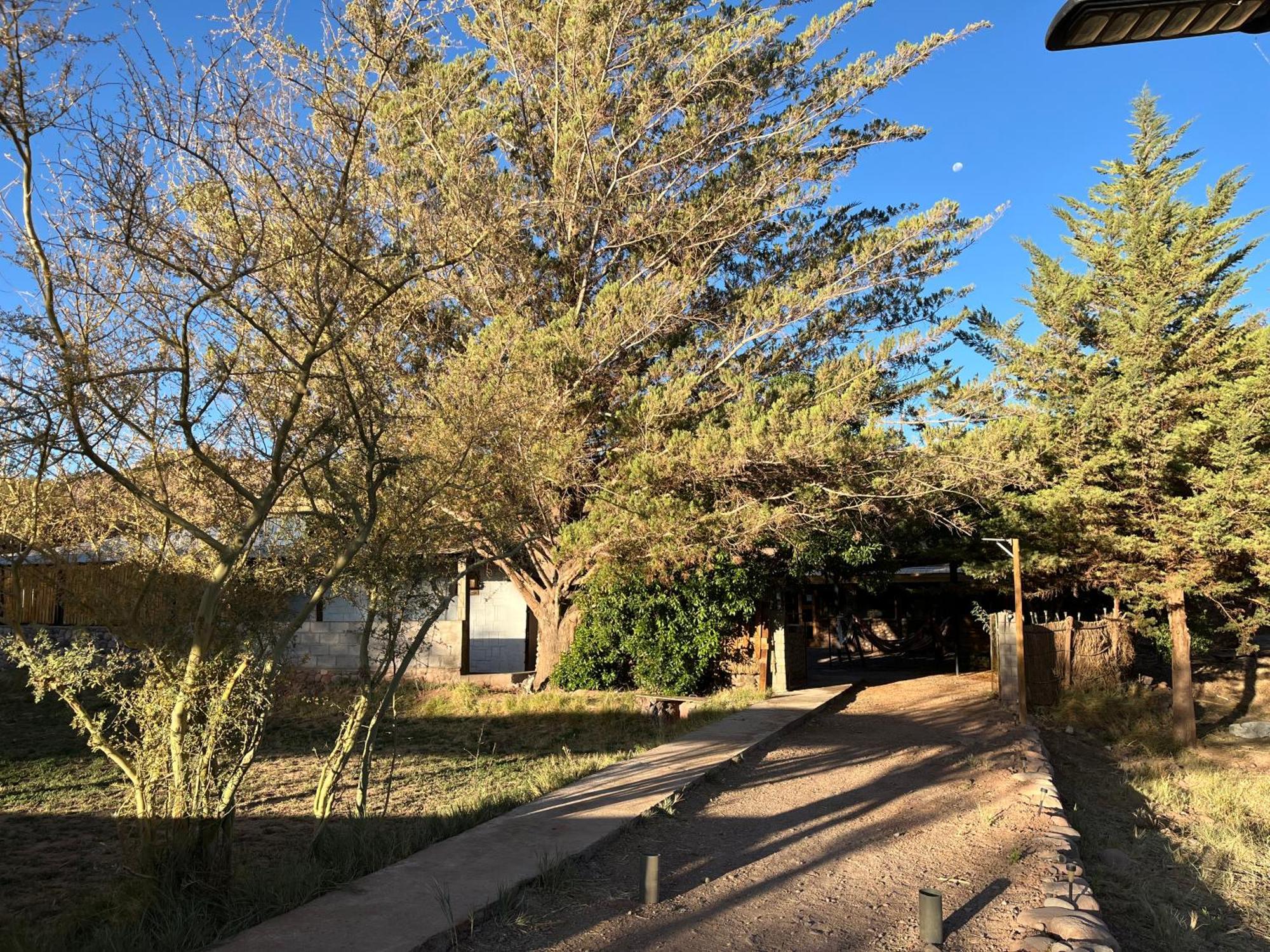 Hostal Piedrita De Rio San Pedro de Atacama Exterior photo