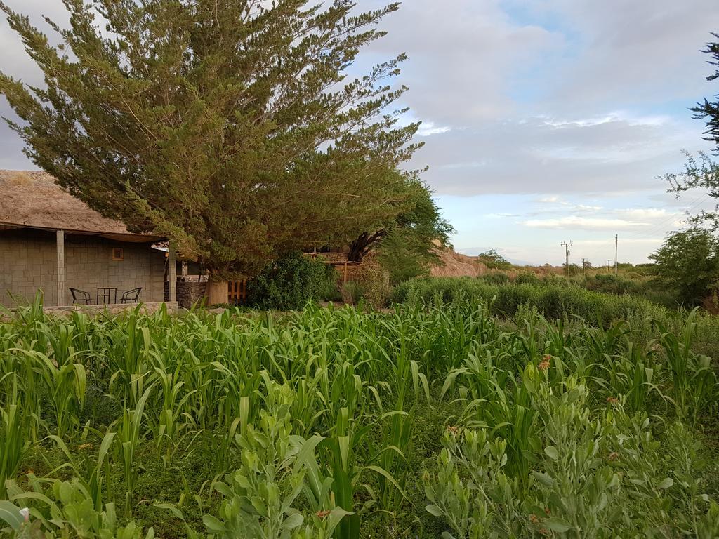 Hostal Piedrita De Rio San Pedro de Atacama Exterior photo